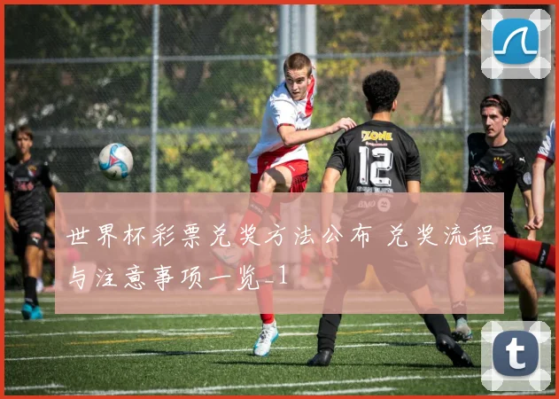 世界杯彩票兑奖方法公布 兑奖流程与注意事项一览_1
