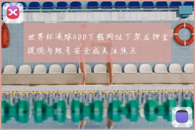 世界杯滚球app下载网址下架后押金提现与账号安全成关注焦点