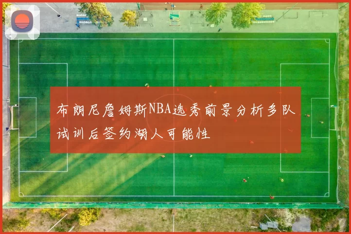 布朗尼詹姆斯NBA选秀前景分析多队试训后签约湖人可能性