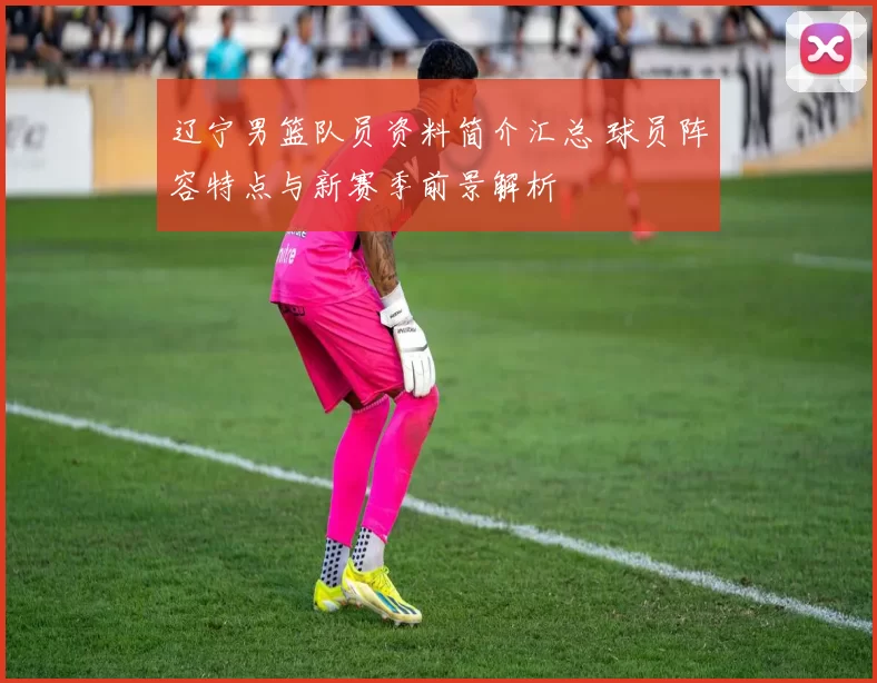 辽宁男篮队员资料简介汇总 球员阵容特点与新赛季前景解析