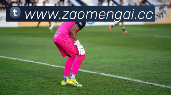 完美体育·完美官方网站 - 完美online(中国)APP 封面图